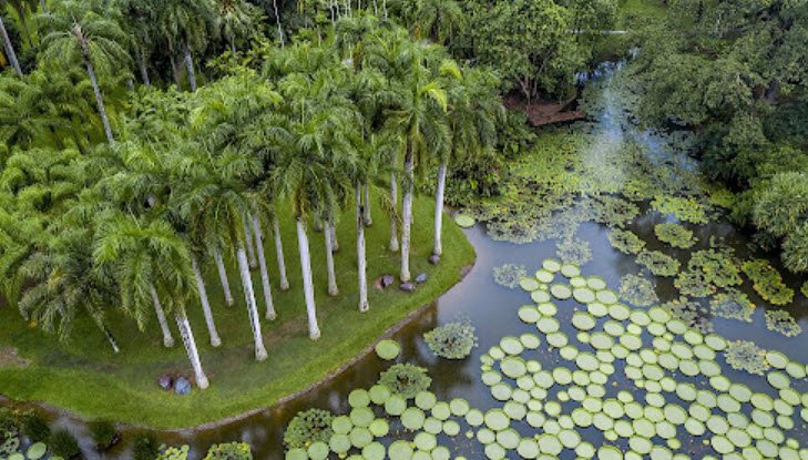 Xishuangbanna Tropical Botanical Garden, Yunnan, China